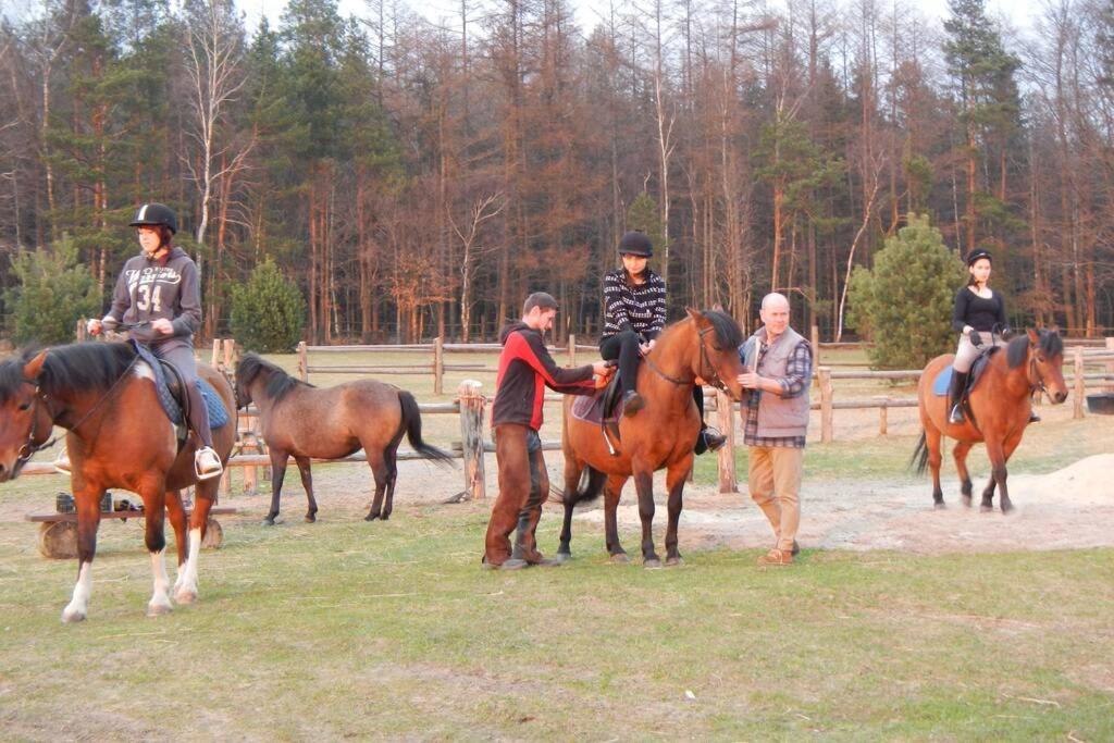 Na Wysokiej Gorce- Agroturystyka Grabowiec  Luaran gambar